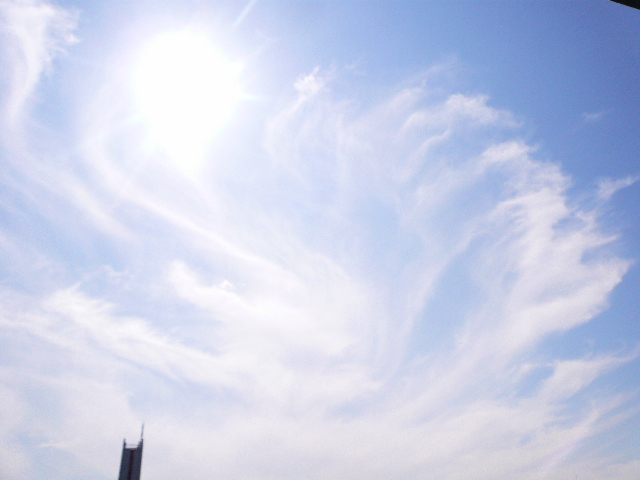 d0147774_154750.jpg