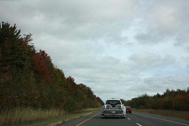 a0100975_834595.jpg