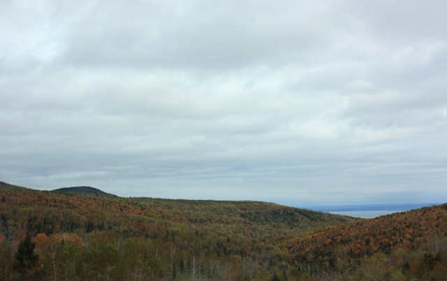 a0100975_90111.jpg