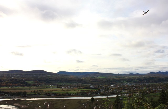 a0100975_9463698.jpg
