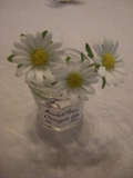 c0143179_12552387.jpg