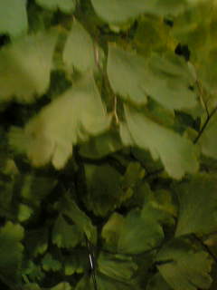 f0100480_16532639.jpg