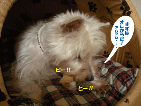 e0066883_22114997.gif