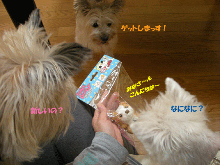 e0066883_226336.gif