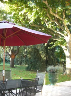 f0169885_575157.jpg