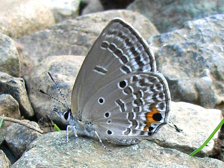 e0083097_18172574.jpg