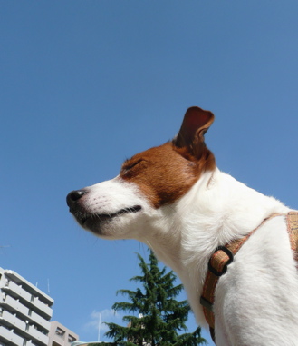 f0146198_0514139.jpg
