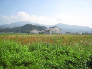d0121300_1929100.jpg