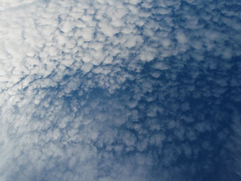 b0055202_993638.jpg
