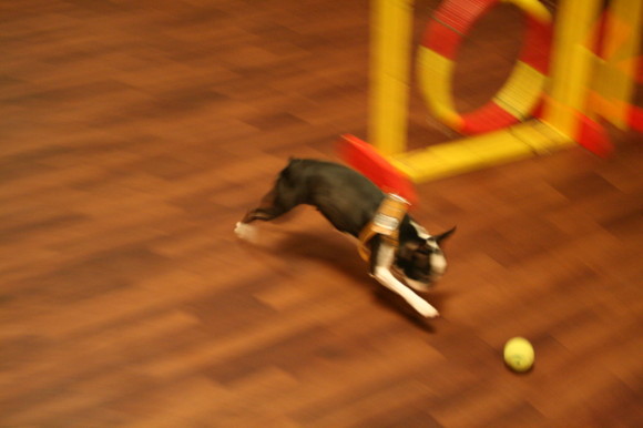 d0070702_14214594.jpg