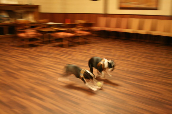 d0070702_1422875.jpg
