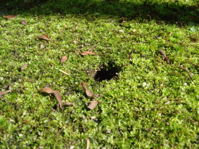c0006904_16102445.jpg