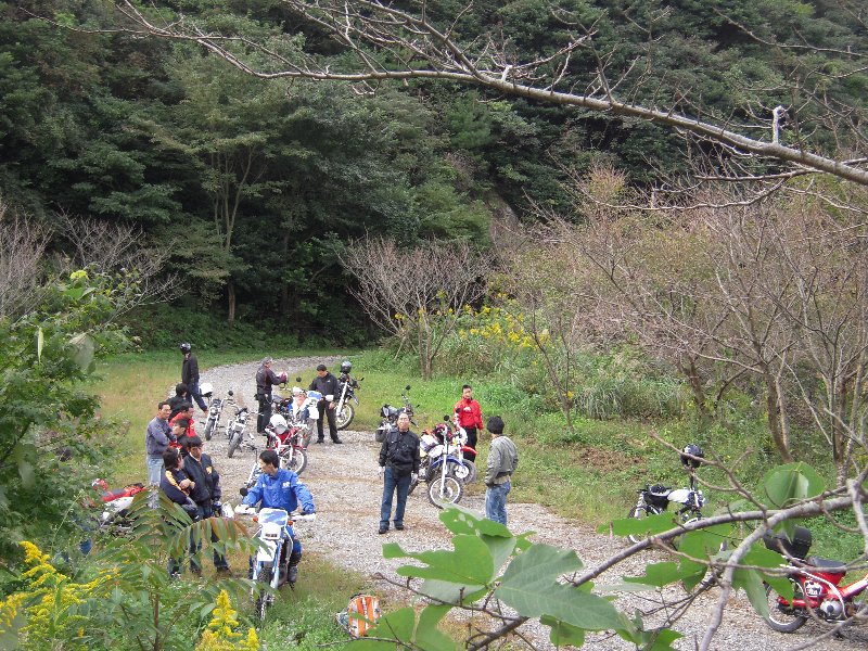 f0061705_2015899.jpg
