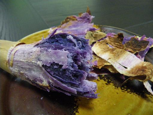 e0123808_1733722.jpg