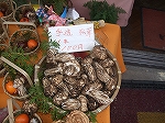 f0116908_1914222.jpg
