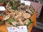 f0116908_1915590.jpg
