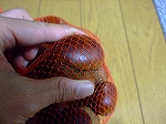 f0116908_192233.jpg