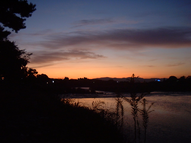 f0173908_20525564.jpg