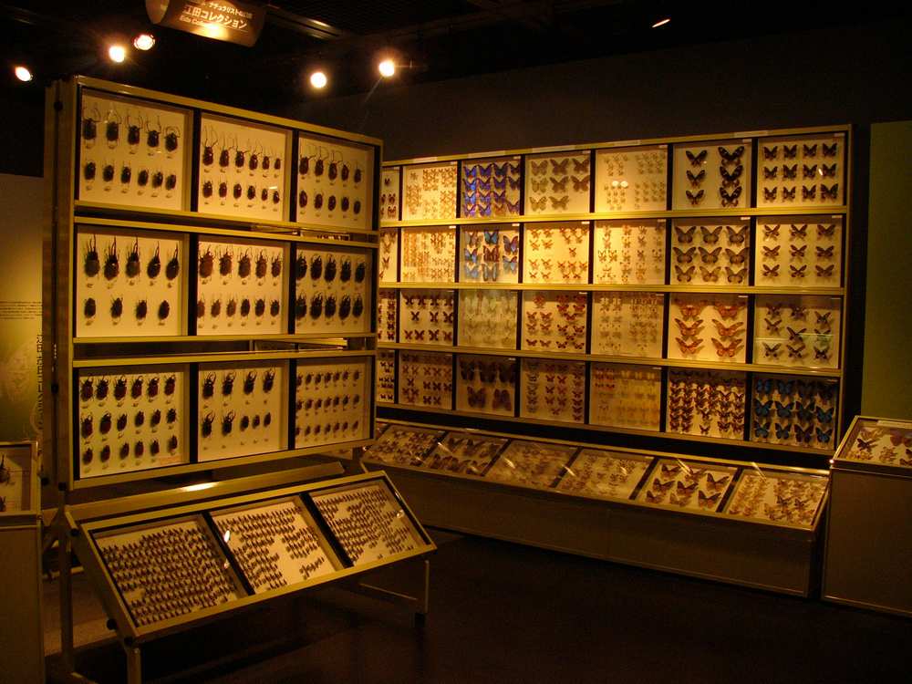 c0062511_1916065.jpg