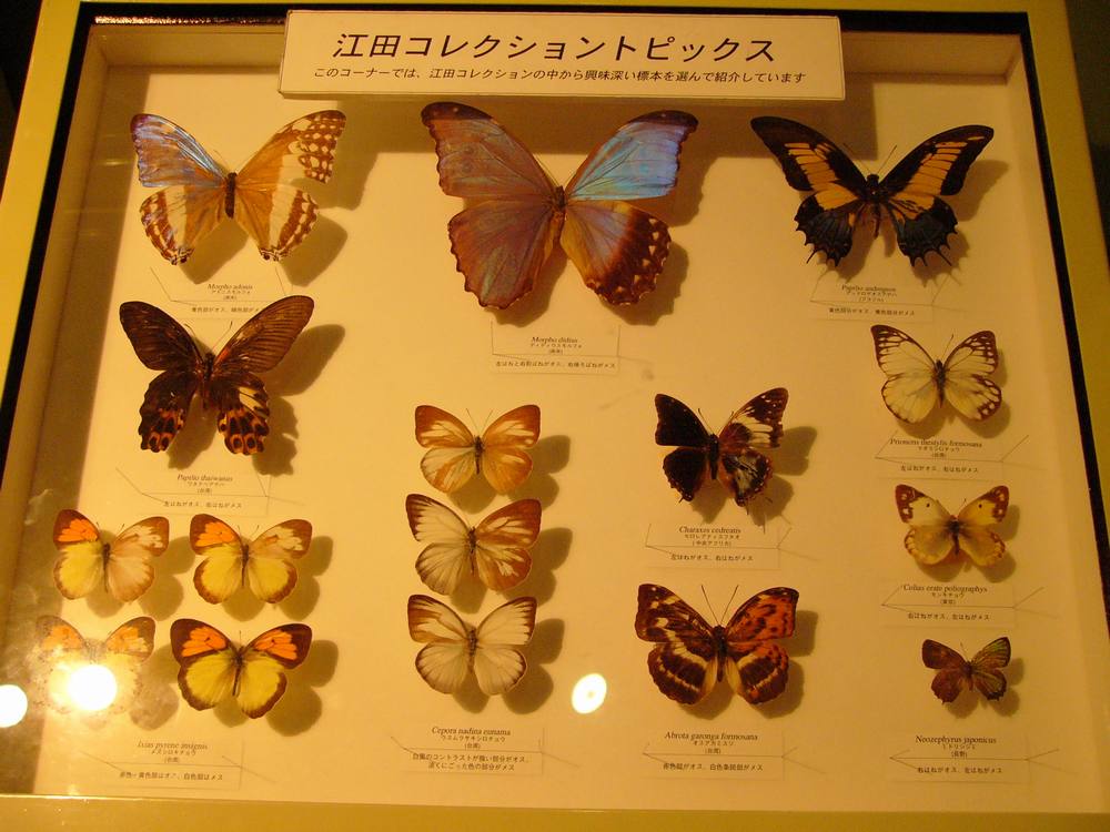 c0062511_19193856.jpg