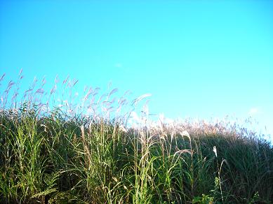 e0090719_2204537.jpg