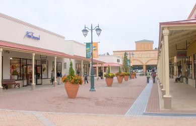 a0053420_0483721.jpg