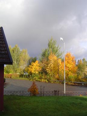 a0104020_2143213.jpg
