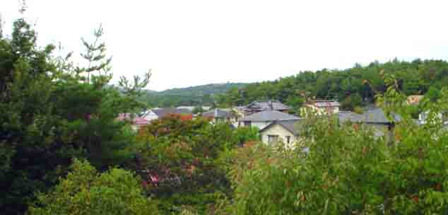 e0083820_1133730.jpg