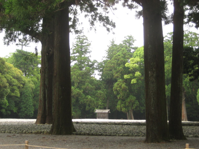 d0147727_8242747.jpg