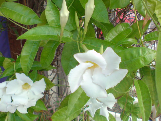 e0016828_12283841.jpg