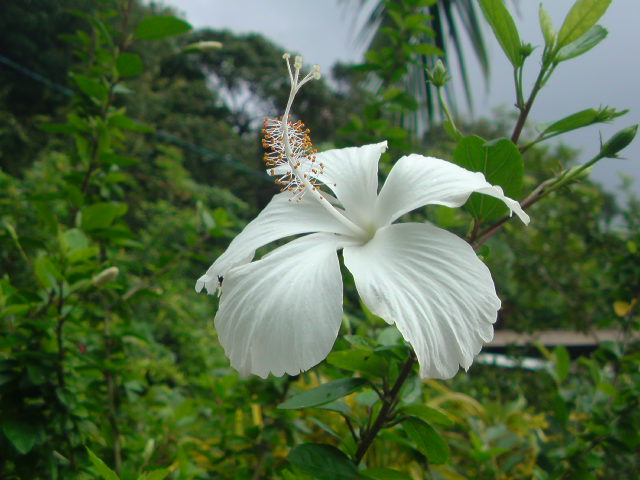 e0016828_12311945.jpg