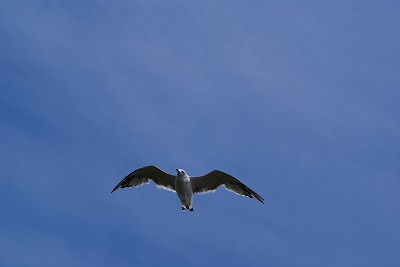 b0009029_23441471.jpg