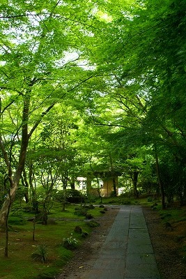 b0009029_23445228.jpg