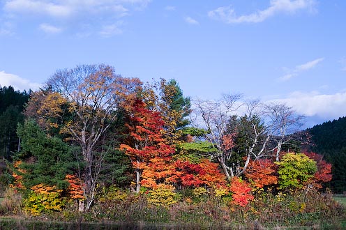 e0025030_17321549.jpg