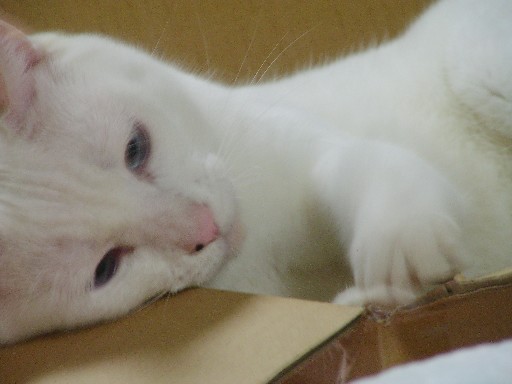 f0002833_19563695.jpg