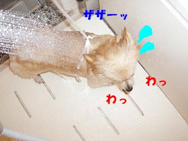 c0179136_23361781.jpg