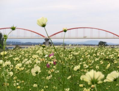 d0093936_21455981.jpg