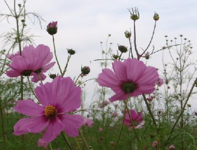 d0093936_2148176.jpg