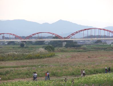 d0093936_219110.jpg