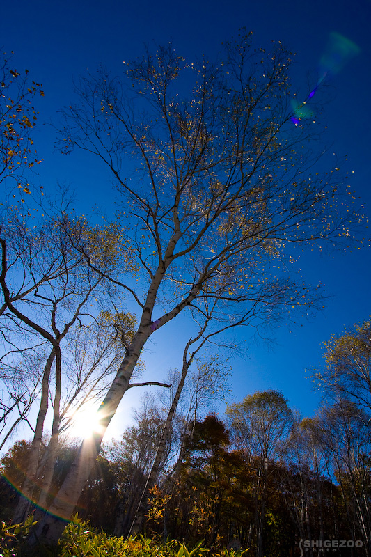 b0144437_18125595.jpg