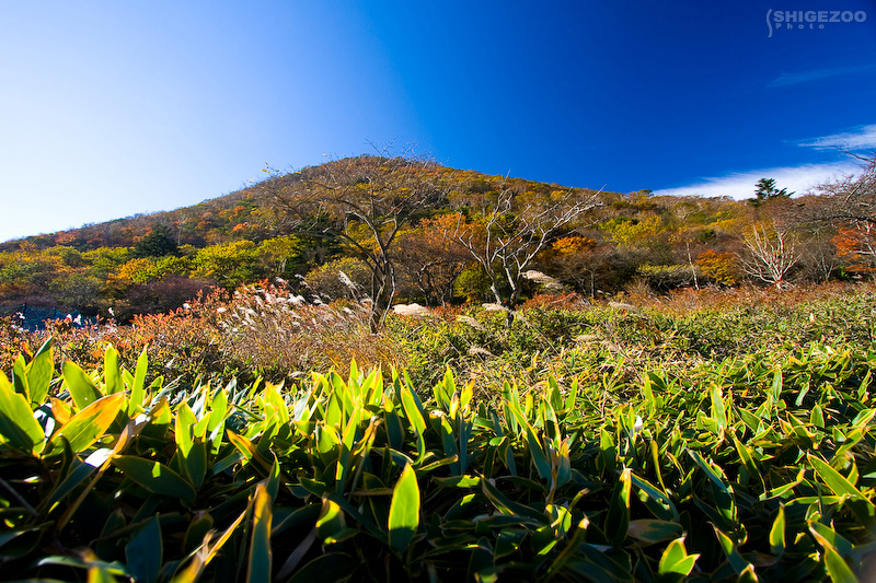 b0144437_18131435.jpg