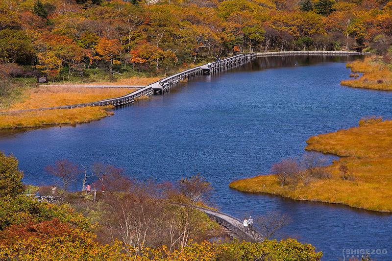 b0144437_18141335.jpg