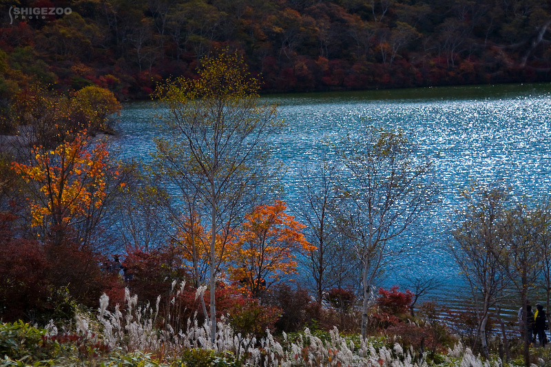 b0144437_18142630.jpg