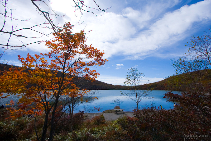 b0144437_18144890.jpg