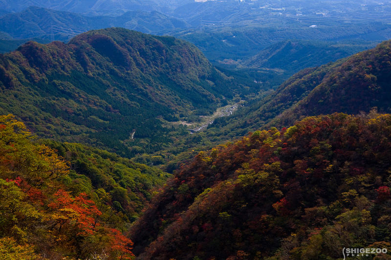 b0144437_1814678.jpg