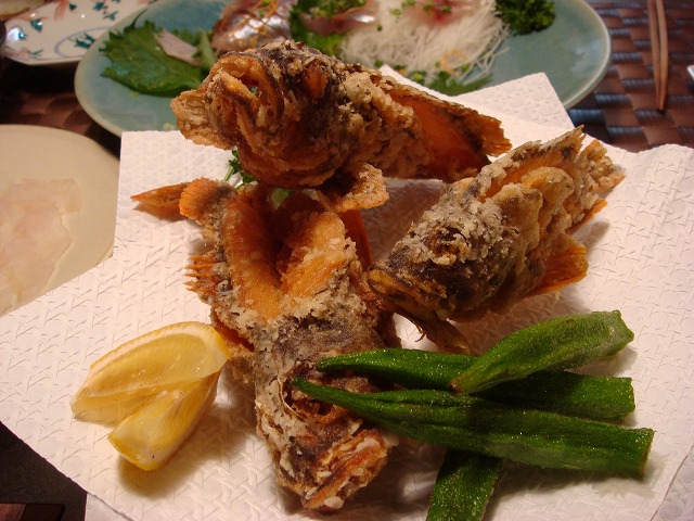a0046339_1614379.jpg
