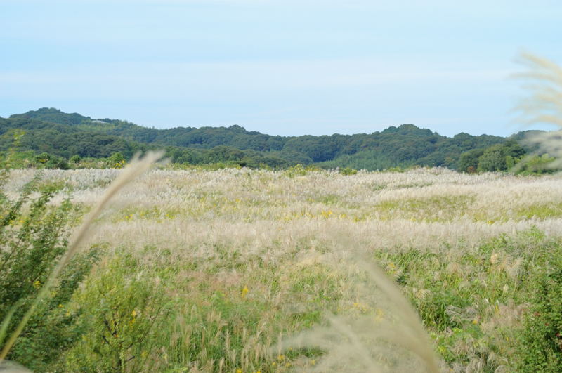 b0036743_212620100.jpg