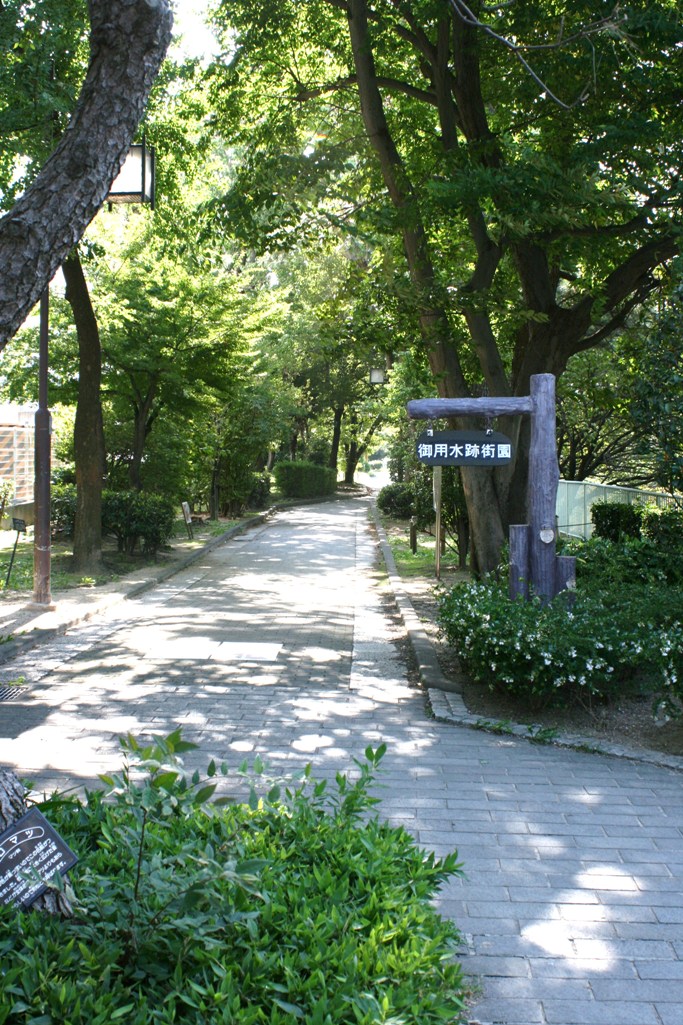 a0104448_10243436.jpg