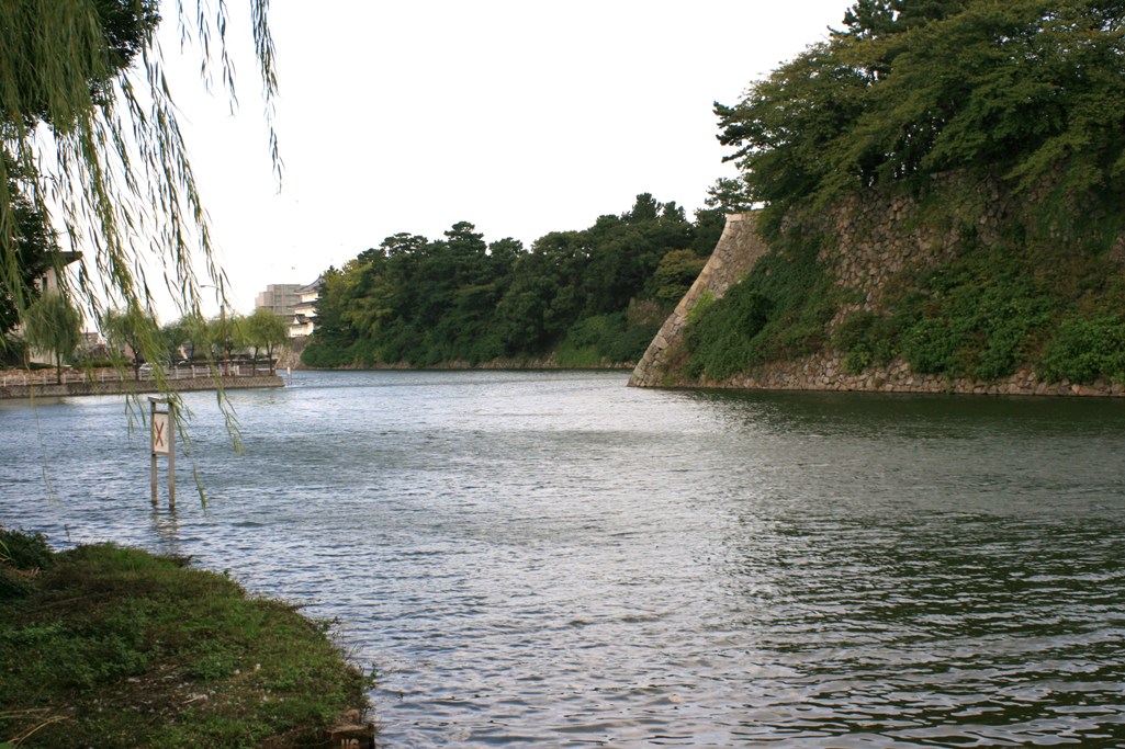 a0104448_10263394.jpg