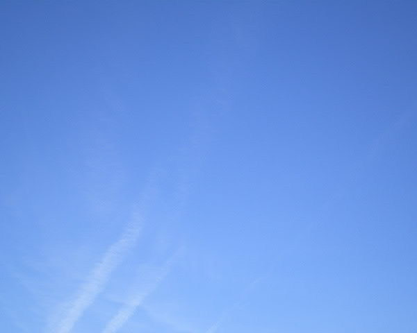 e0017051_1741433.jpg
